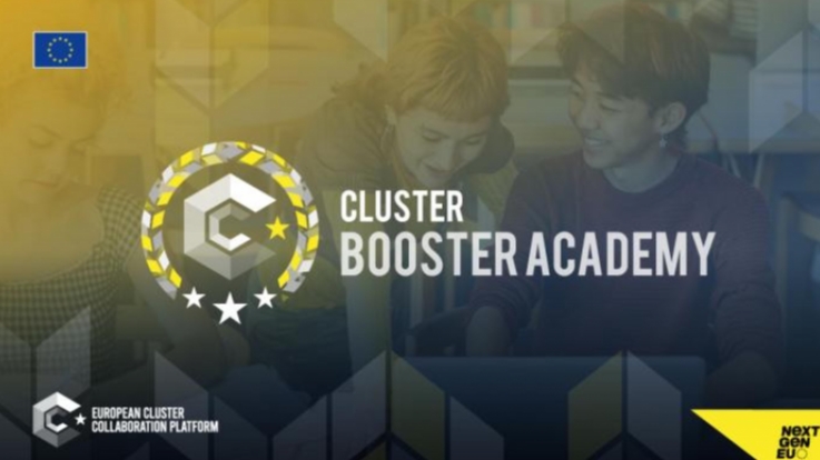 Opinie o Cluster Booster Academy